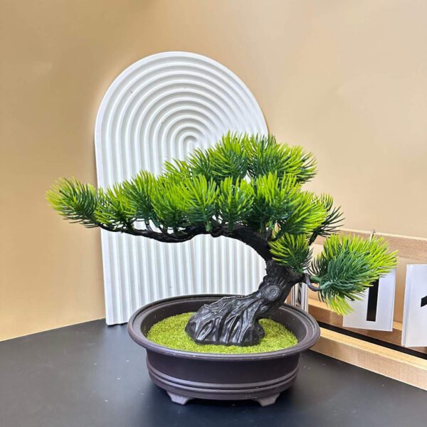 Cay Bonsai Gia Mini BS304 Nhua Cao Cap 1