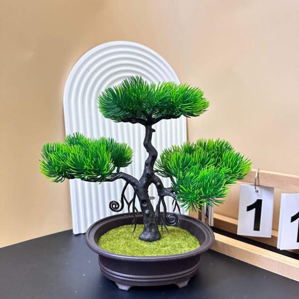 Cay Bonsai Gia Mini BS304 Nhua Cao Cap 5