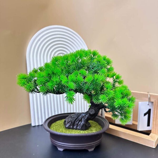 Cay Bonsai Gia Mini BS304 Nhua Cao Cap 8