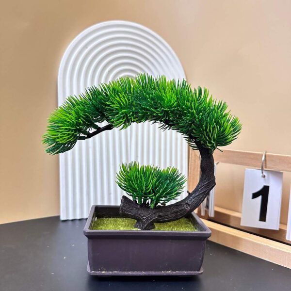 Cay Bonsai Gia Mini BS304 Nhua Cao Cap 9